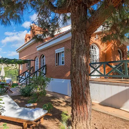 Almendros Hébergement de vacances Las Palmas de Gran Canaria